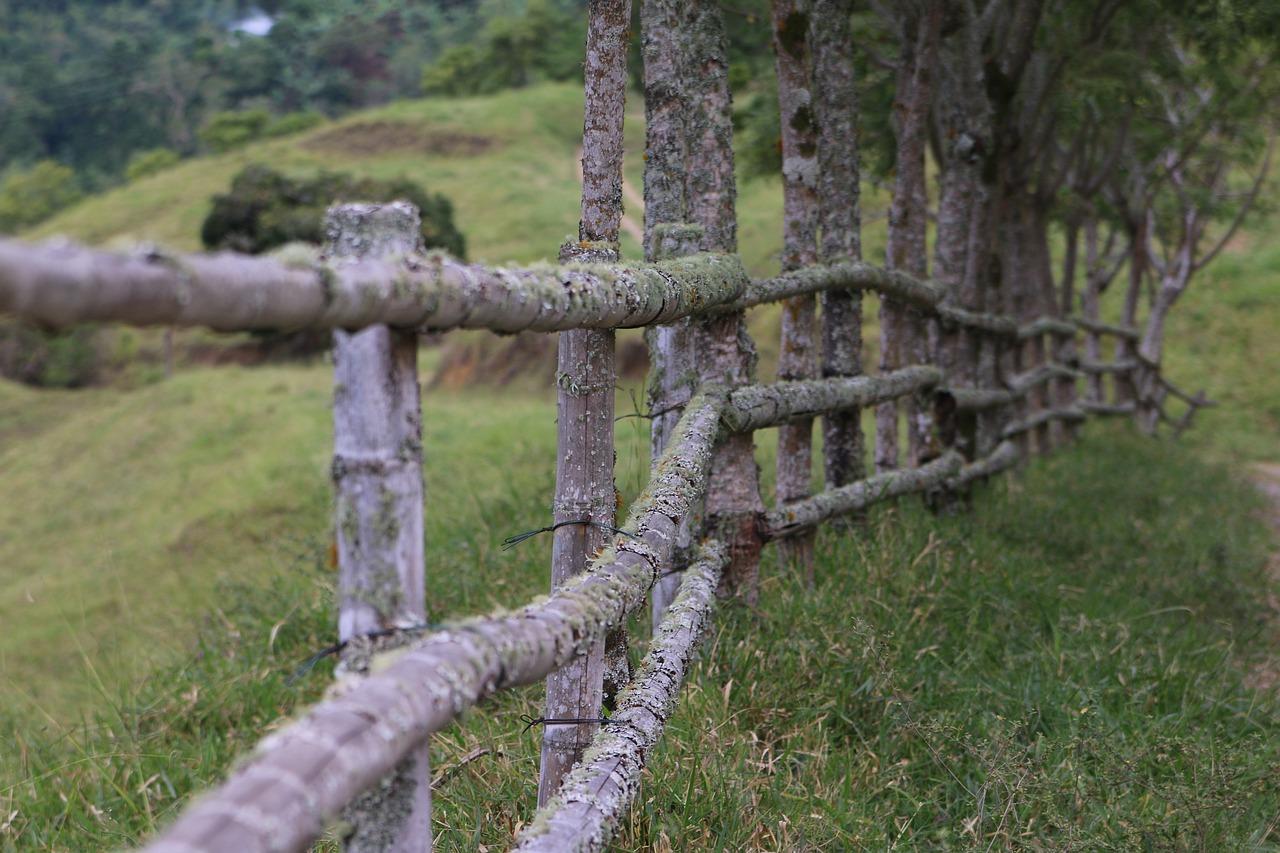 fence, fencing, wood-5502380.jpg